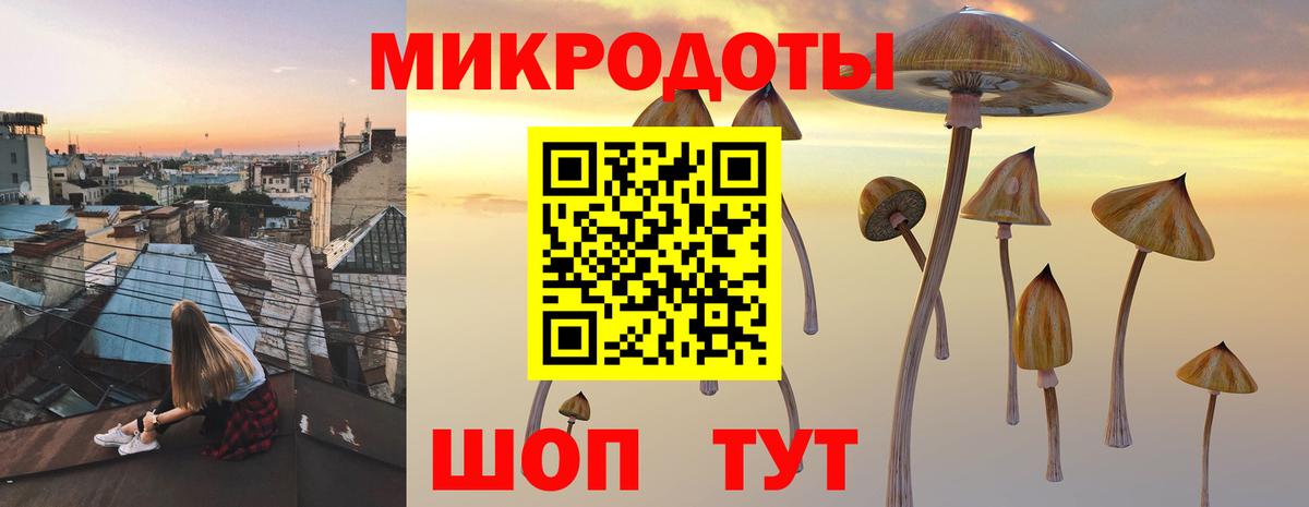 Галлюциногенные грибы GOLDEN TEACHER Армавир
