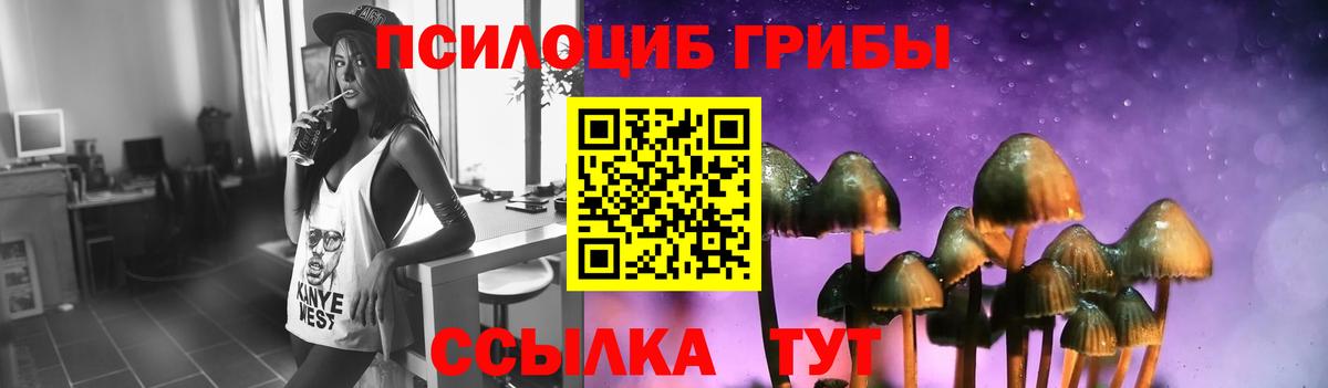 купить   Псилоцибиновые грибы прущие грибы  Псилоцибиновые грибы мухоморы  Вход с VPN  Армавир 